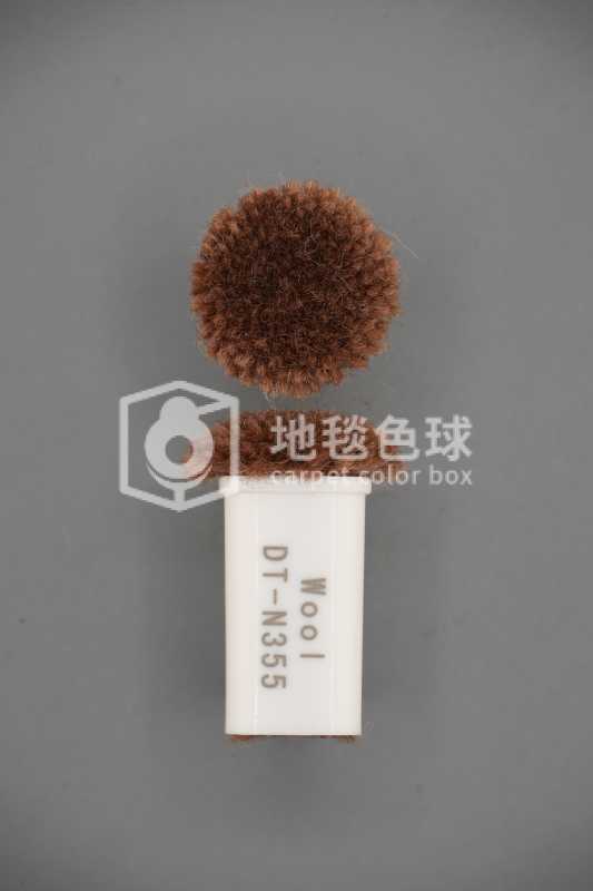 DT N355