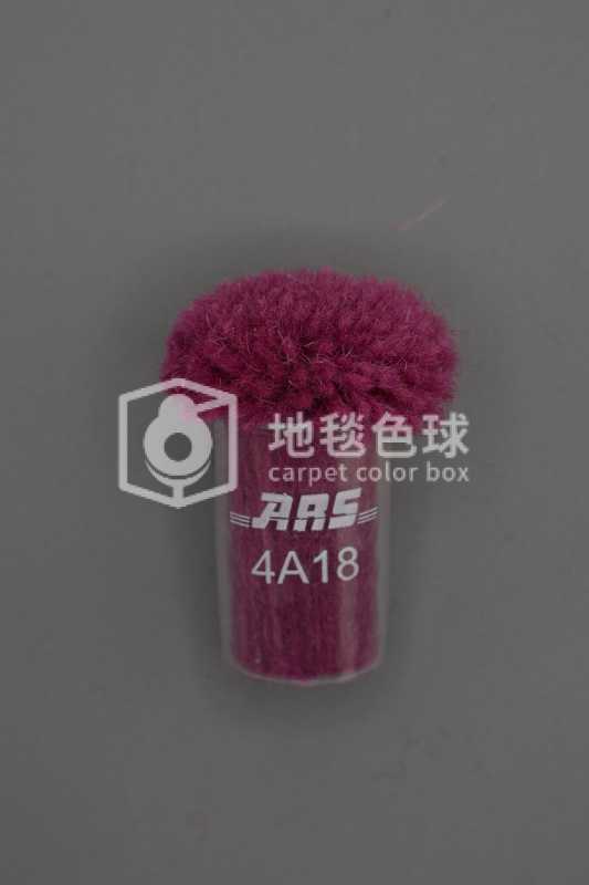 ARS 4A18