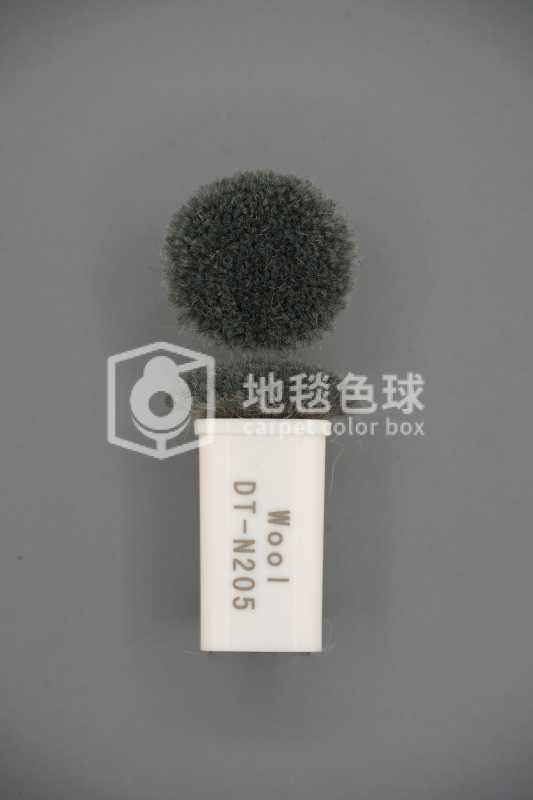 DT N205