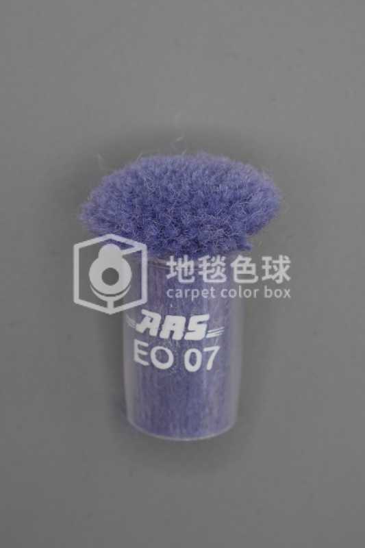 ARS EO07