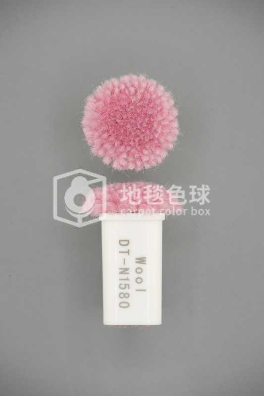 DT N1580