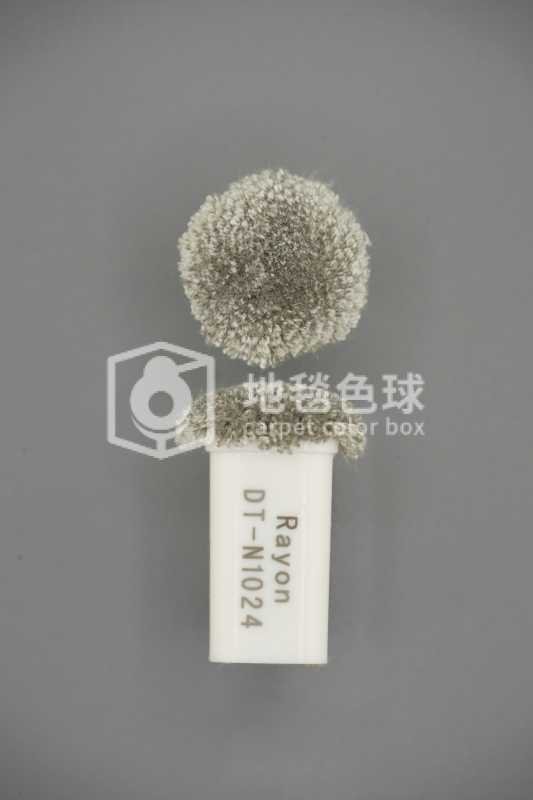 DT N1024