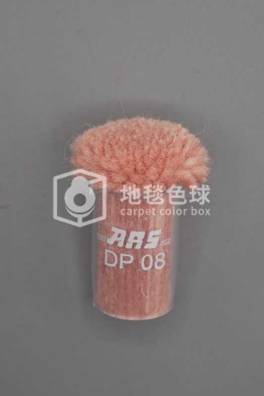 ARS DP08