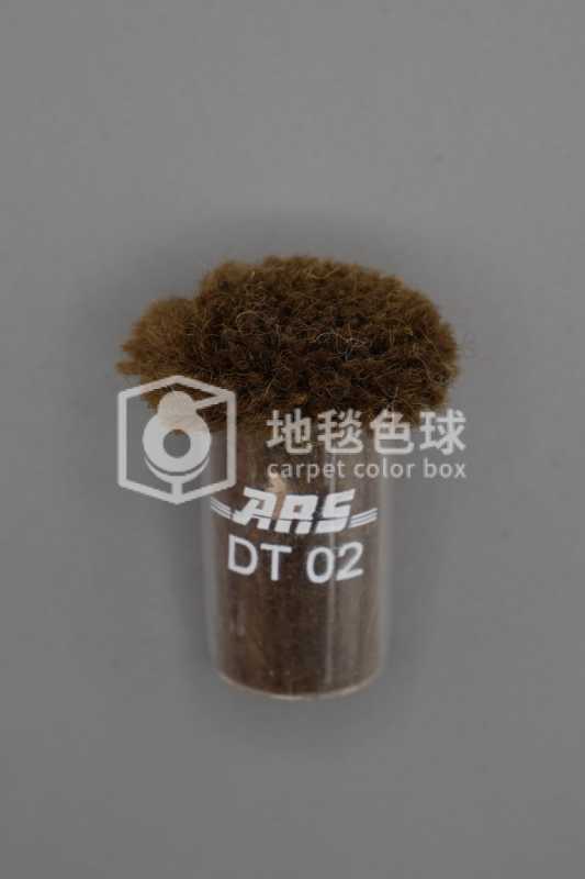 ARS DT02
