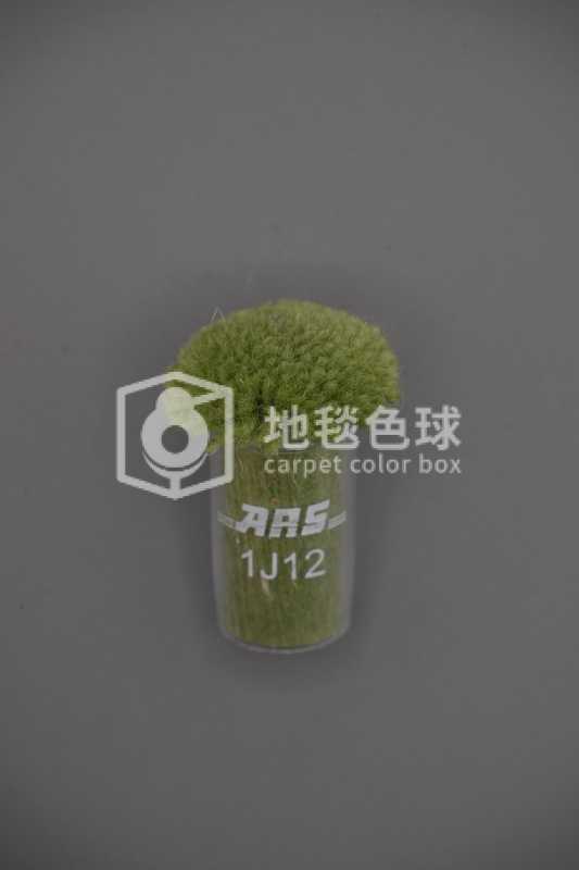 ARS 1J12