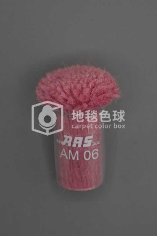 ARS AM06