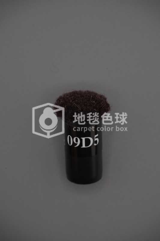 09D5
