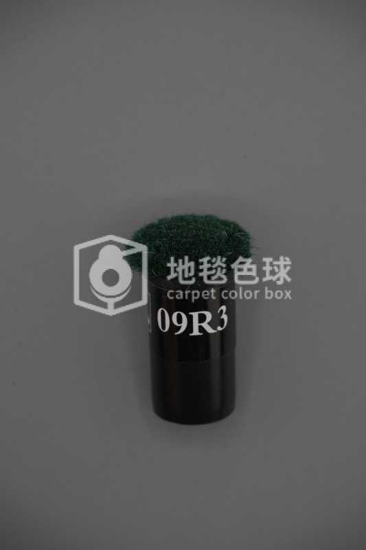 09R3