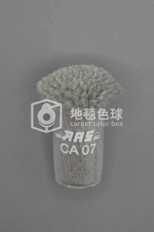 ARS CA07