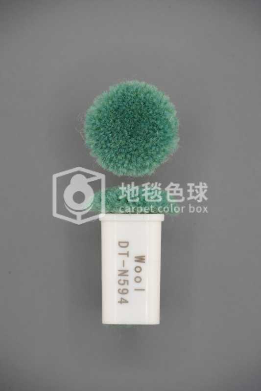 DT N594