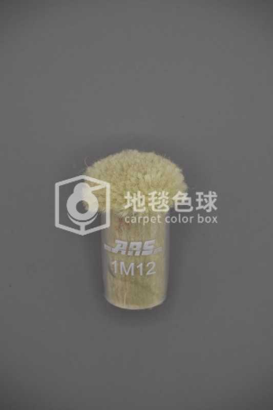 ARS 1M12