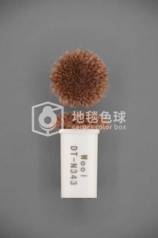 DT N343