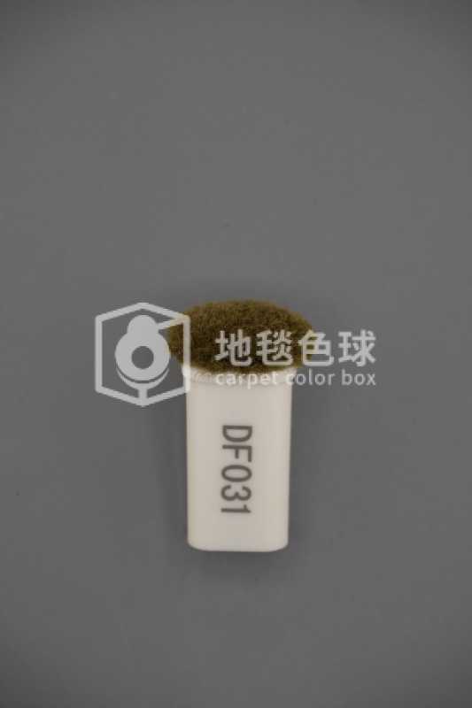 DF031