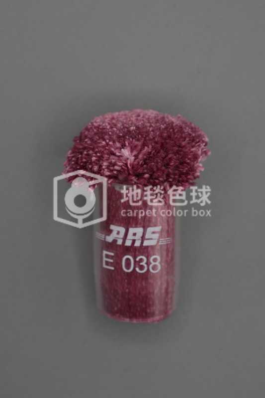 ARS E038
