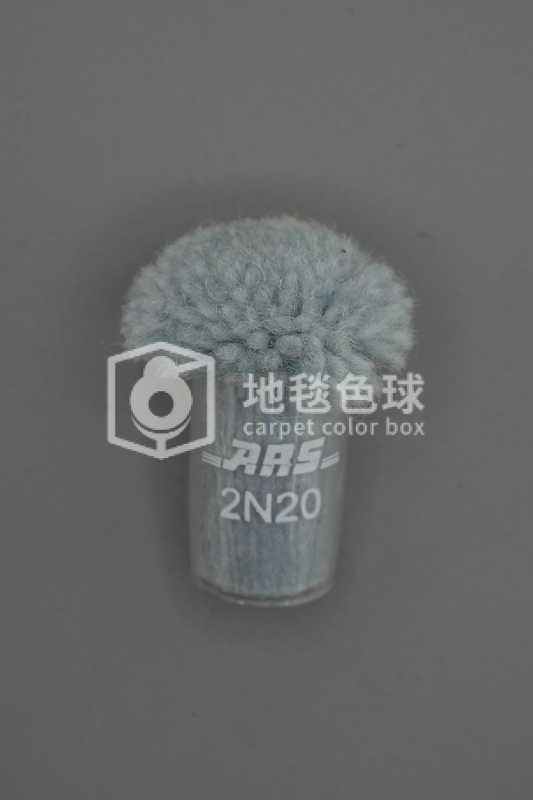 ARS 2N20