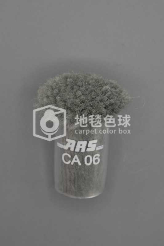 ARS CA06