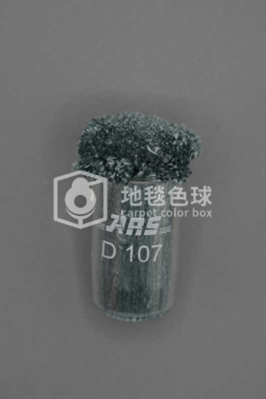 ARS D107