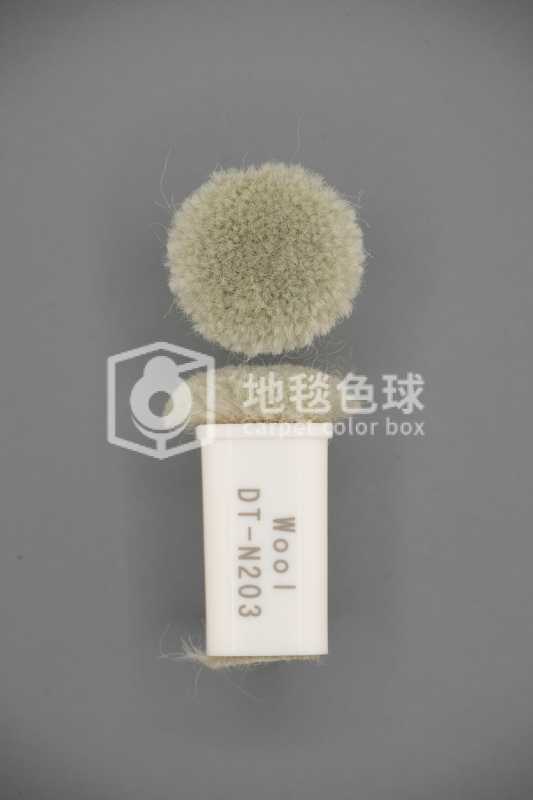 DT N203