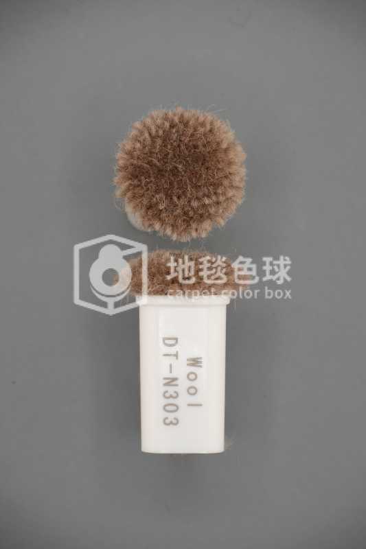 DT N303