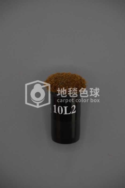 10L2