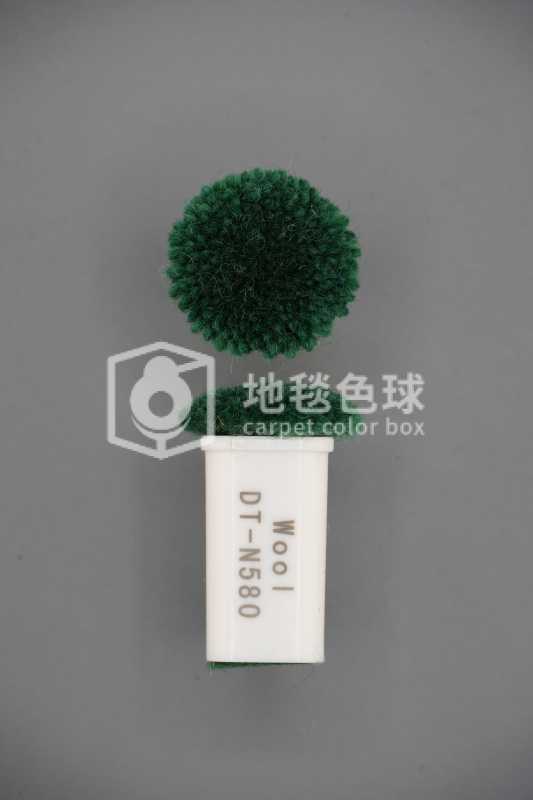DT N580
