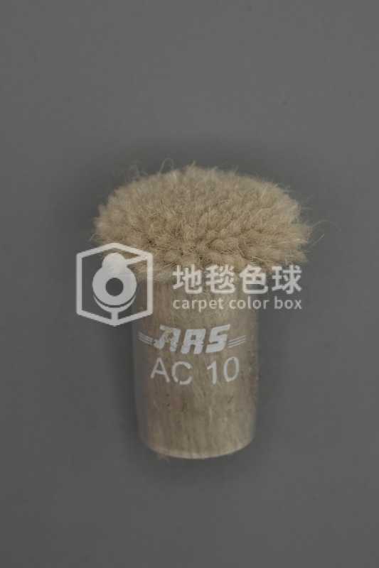 ARS AC10
