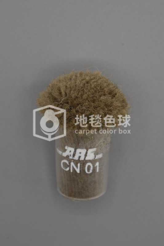 ARS CN01