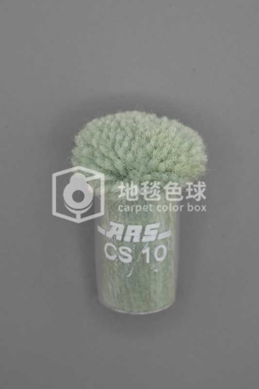 ARS CS10