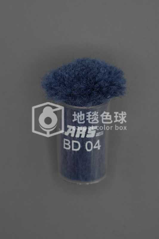 ARS BD04