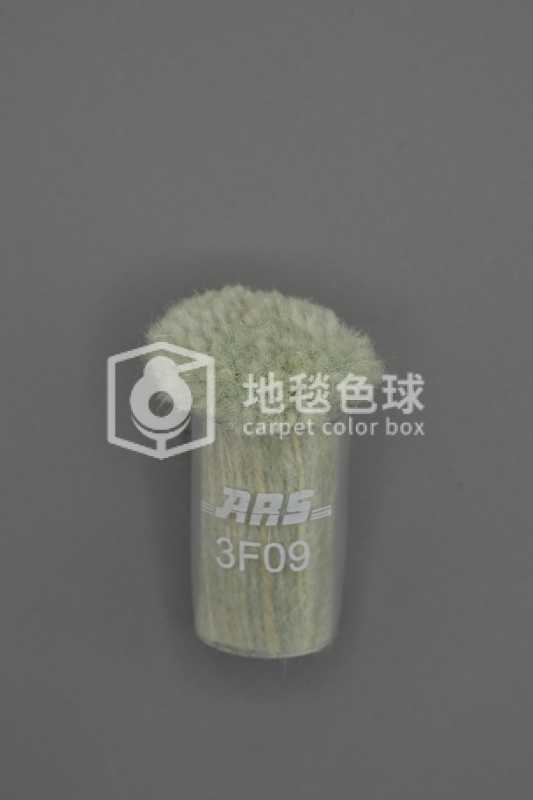 ARS 3F09