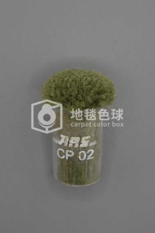 ARS CP02