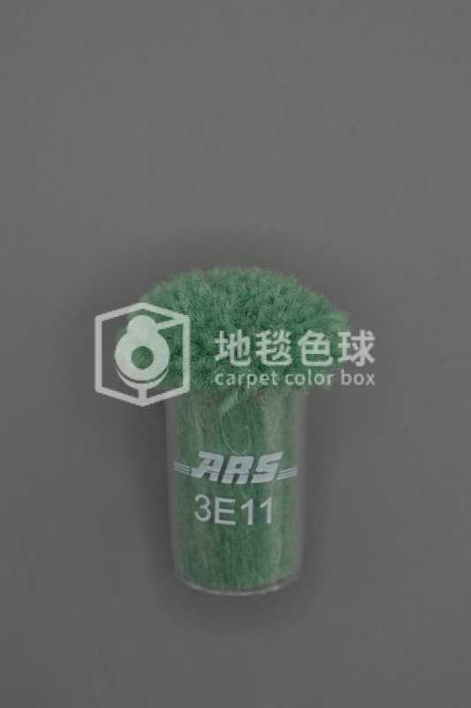 ARS 3E11