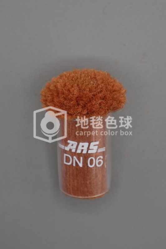 ARS DN06