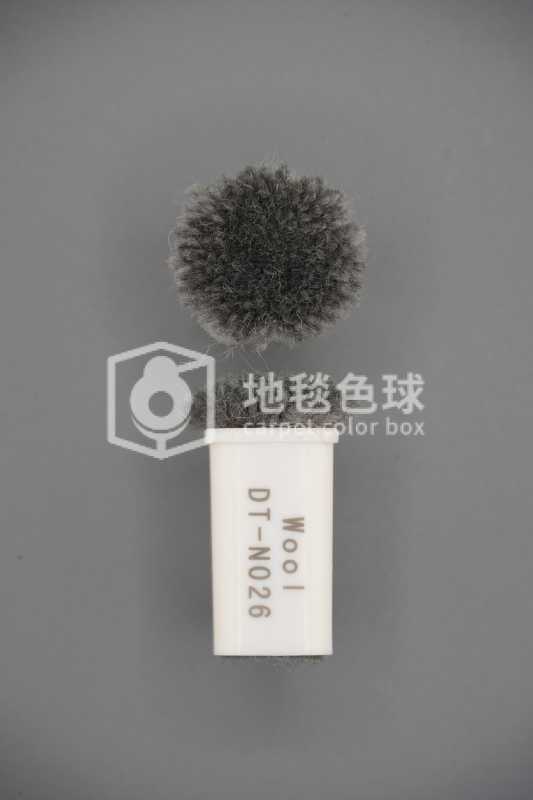 DT N026