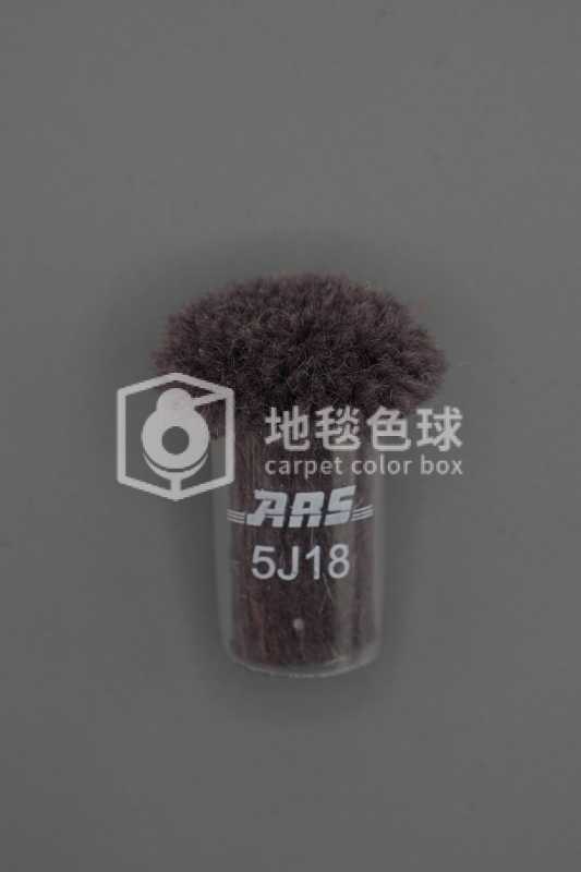 ARS 5J18