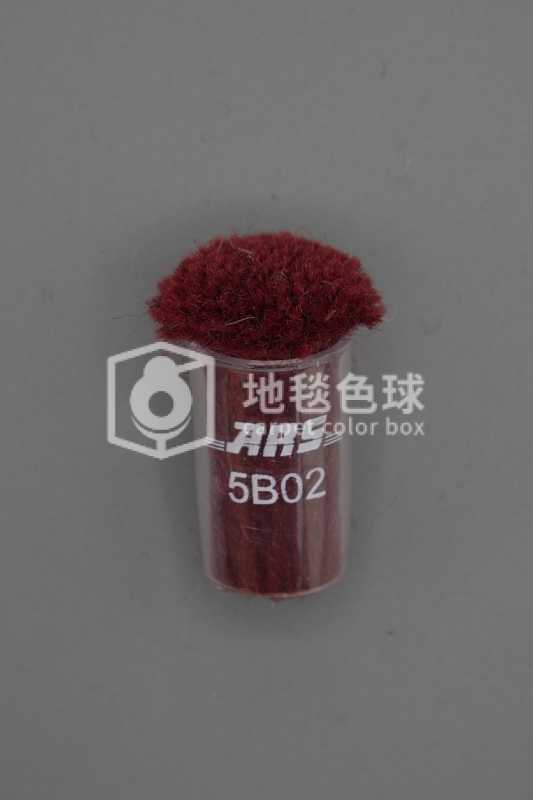 ARS 5B02