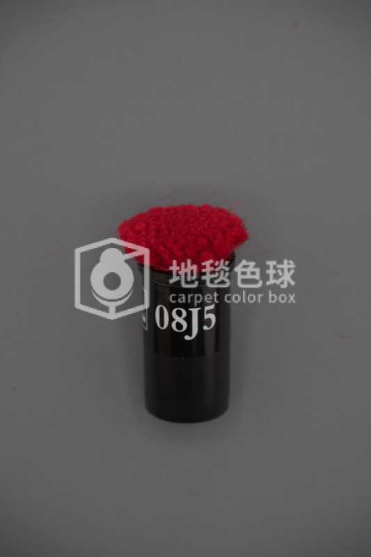 08J5