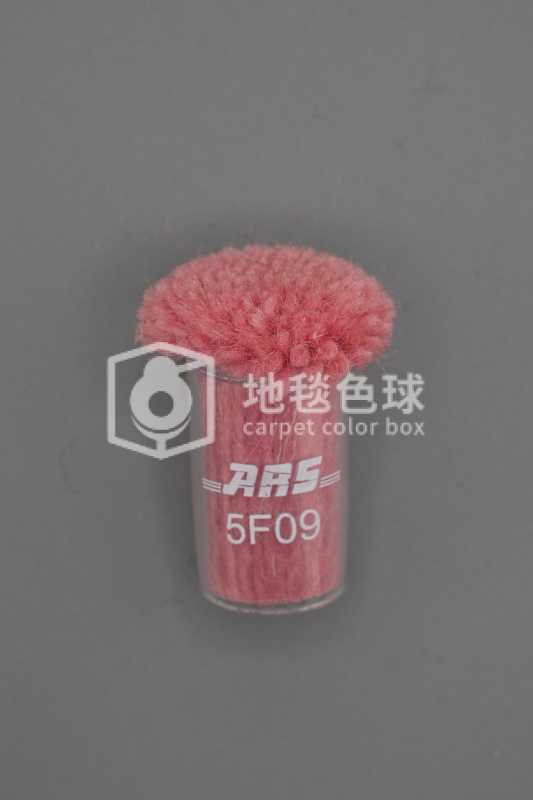 ARS 5F09