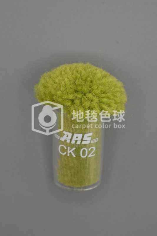 ARS CK02