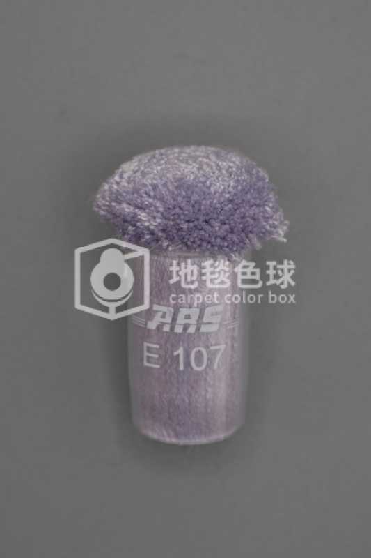 ARS E107