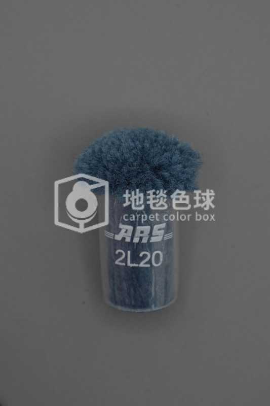 ARS 2L20