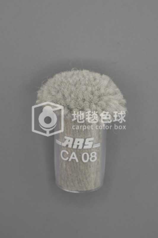 ARS CA08