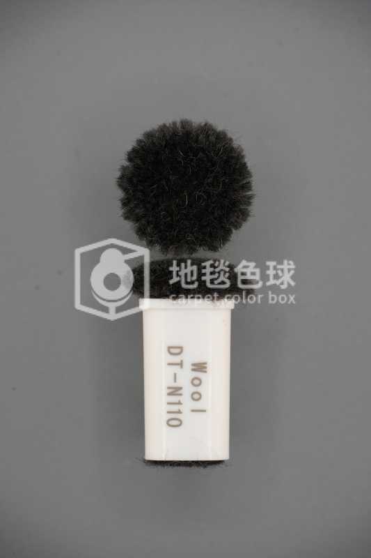 DT N110