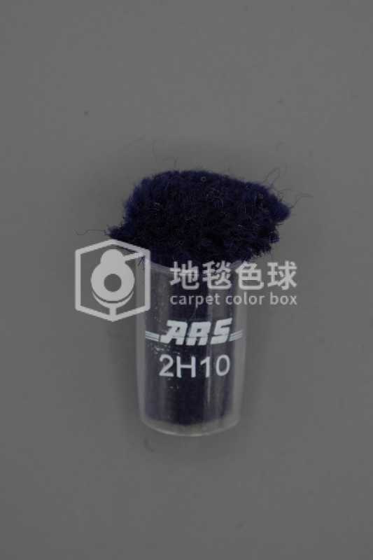 ARS 2H10