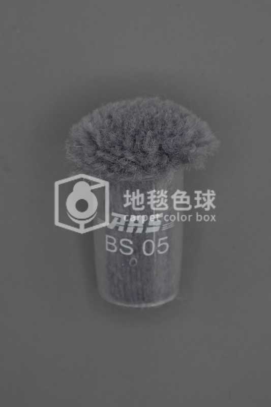 ARS BS05