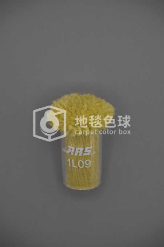ARS 1L09