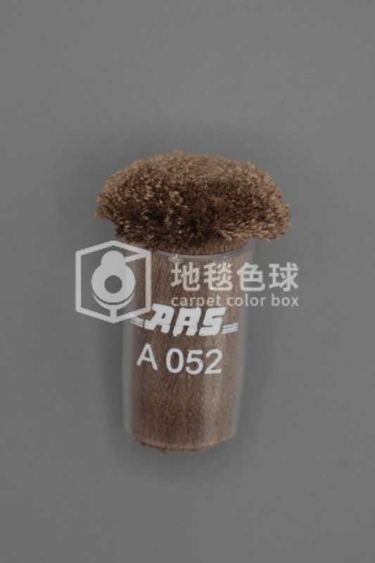 ARS A052