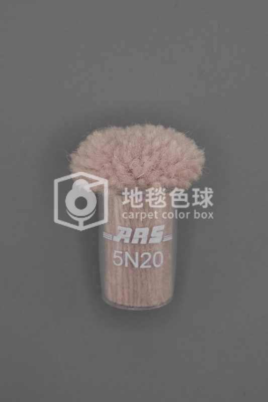 ARS 5N20