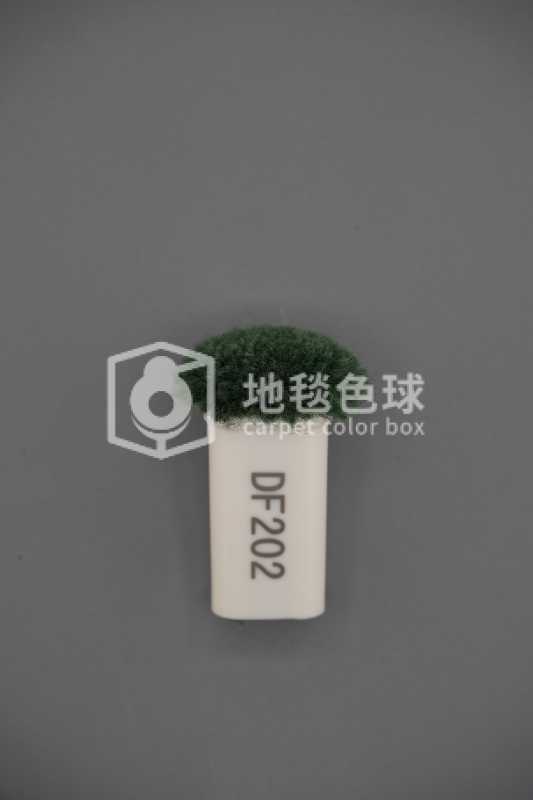 DF202