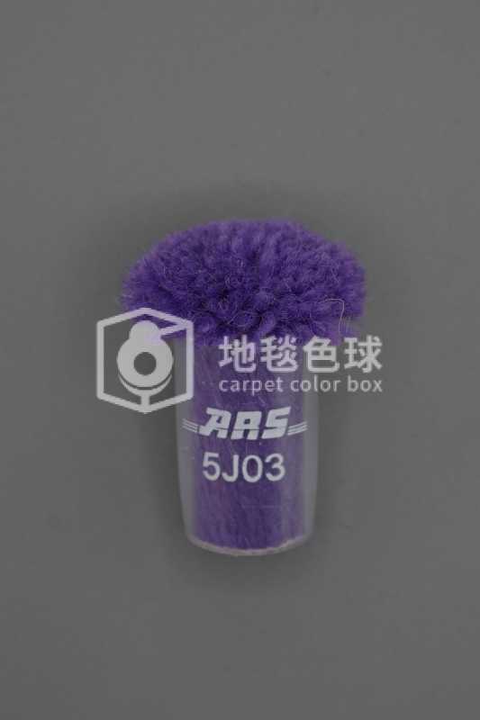 ARS 5J03